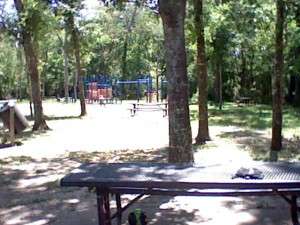 HNI_0013