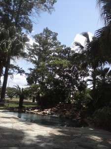 Image05242014121850