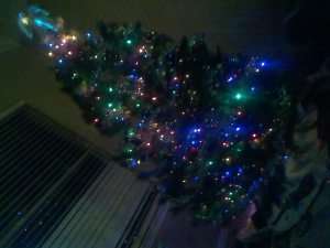 IMG_20141212_212834