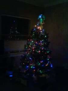 IMG_20141217_063907