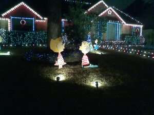 IMG_20141227_193218