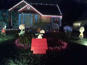 IMG_20141227_193311