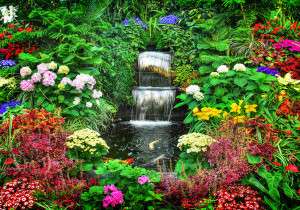 garden with waterfall