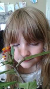 Caterpillars to Butterflies take 10 002